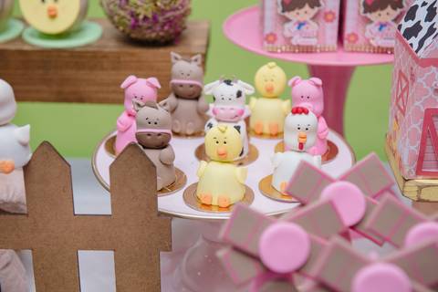 Smash the cake volta redonda barra mansa Fotografia Fotografo Festa Infantil 1 ano 1 aninho mamae papai ensaio aniversario  caramelada festa salao'