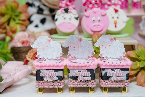 Smash the cake volta redonda barra mansa Fotografia Fotografo Festa Infantil 1 ano 1 aninho mamae papai ensaio aniversario  caramelada festa salao'