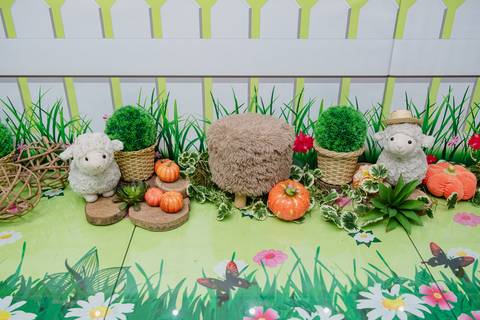 Smash the cake volta redonda barra mansa Fotografia Fotografo Festa Infantil 1 ano 1 aninho mamae papai ensaio aniversario  caramelada festa salao'