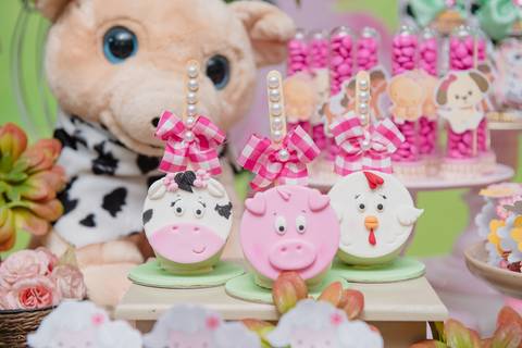 Smash the cake volta redonda barra mansa Fotografia Fotografo Festa Infantil 1 ano 1 aninho mamae papai ensaio aniversario  caramelada festa salao'