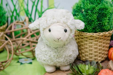 Smash the cake volta redonda barra mansa Fotografia Fotografo Festa Infantil 1 ano 1 aninho mamae papai ensaio aniversario  caramelada festa salao'