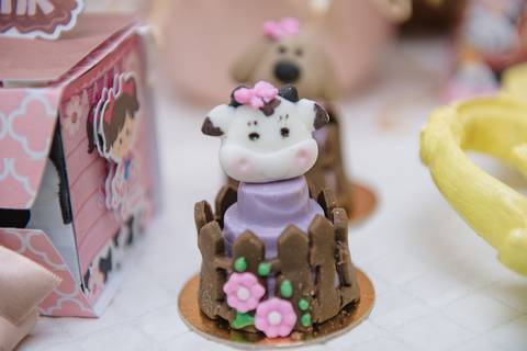 Smash the cake volta redonda barra mansa Fotografia Fotografo Festa Infantil 1 ano 1 aninho mamae papai ensaio aniversario  caramelada festa salao'