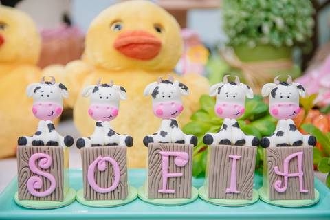 Smash the cake volta redonda barra mansa Fotografia Fotografo Festa Infantil 1 ano 1 aninho mamae papai ensaio aniversario  caramelada festa salao'