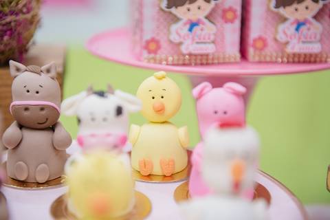 Smash the cake volta redonda barra mansa Fotografia Fotografo Festa Infantil 1 ano 1 aninho mamae papai ensaio aniversario  caramelada festa salao'