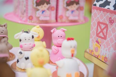 Smash the cake volta redonda barra mansa Fotografia Fotografo Festa Infantil 1 ano 1 aninho mamae papai ensaio aniversario  caramelada festa salao'