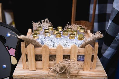 Smash the cake volta redonda barra mansa Fotografia Fotografo Festa Infantil 1 ano 1 aninho mamae papai ensaio aniversario  SW Espaço de Festas e Eventos  festa salao'