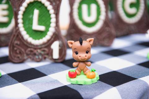 Smash the cake volta redonda barra mansa Fotografia Fotografo Festa Infantil 1 ano 1 aninho mamae papai ensaio aniversario  SW Espaço de Festas e Eventos  festa salao'