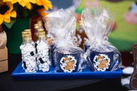 Smash the cake volta redonda barra mansa Fotografia Fotografo Festa Infantil 1 ano 1 aninho mamae papai ensaio aniversario  SW Espaço de Festas e Eventos  festa salao'