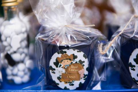 Smash the cake volta redonda barra mansa Fotografia Fotografo Festa Infantil 1 ano 1 aninho mamae papai ensaio aniversario  SW Espaço de Festas e Eventos  festa salao'