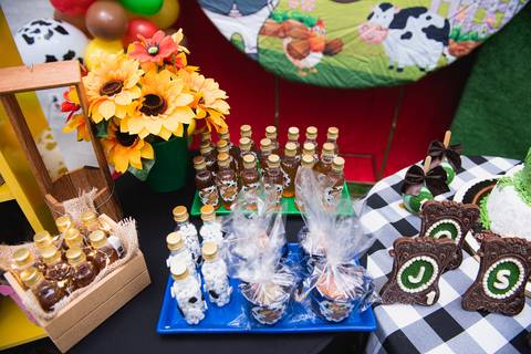 Smash the cake volta redonda barra mansa Fotografia Fotografo Festa Infantil 1 ano 1 aninho mamae papai ensaio aniversario  SW Espaço de Festas e Eventos  festa salao'