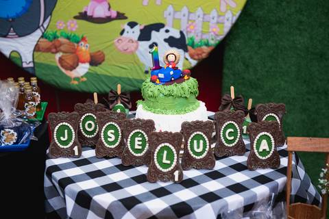 Smash the cake volta redonda barra mansa Fotografia Fotografo Festa Infantil 1 ano 1 aninho mamae papai ensaio aniversario  SW Espaço de Festas e Eventos  festa salao'