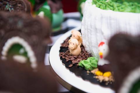 Smash the cake volta redonda barra mansa Fotografia Fotografo Festa Infantil 1 ano 1 aninho mamae papai ensaio aniversario  SW Espaço de Festas e Eventos  festa salao'