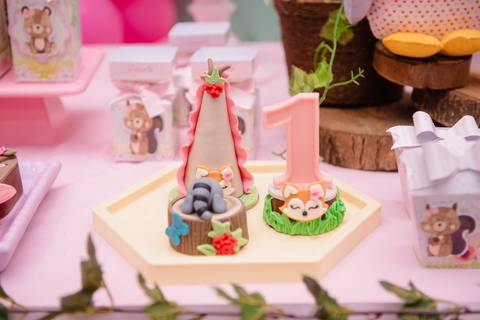 Smash the cake volta redonda barra mansa Fotografia Fotografo Festa Infantil 1 ano 1 aninho mamae papai ensaio aniversario  tictac festa salao'