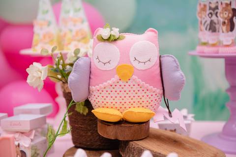 Smash the cake volta redonda barra mansa Fotografia Fotografo Festa Infantil 1 ano 1 aninho mamae papai ensaio aniversario  tictac festa salao'