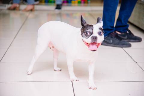 Smash the cake volta redonda barra mansa Fotografia Fotografo Festa Infantil 1 ano 1 aninho mamae papai ensaio aniversario  tictac festa salao'