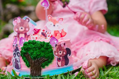 Smash the cake volta redonda barra mansa Fotografia Fotografo Festa Infantil 1 ano 1 aninho mamae papai ensaio aniversario  ensaio sesc festa salao'