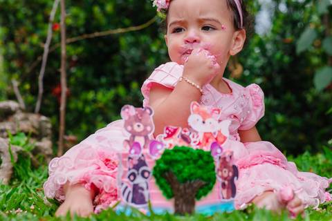 Smash the cake volta redonda barra mansa Fotografia Fotografo Festa Infantil 1 ano 1 aninho mamae papai ensaio aniversario  ensaio sesc festa salao'