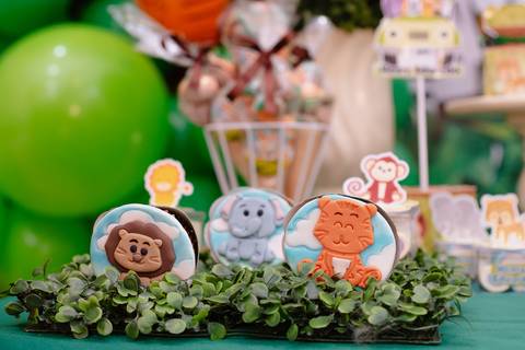 Smash the cake volta redonda barra mansa Fotografia Fotografo Festa Infantil 1 ano 1 aninho mamae papai ensaio aniversario  tictac festa salao, safari, leao, rio de janeiro'