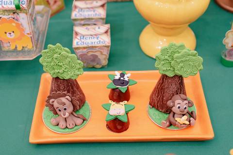 Smash the cake volta redonda barra mansa Fotografia Fotografo Festa Infantil 1 ano 1 aninho mamae papai ensaio aniversario  tictac festa salao, safari, leao, rio de janeiro'