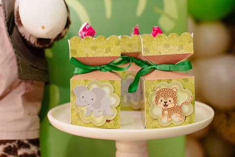 Smash the cake volta redonda barra mansa Fotografia Fotografo Festa Infantil 1 ano 1 aninho mamae papai ensaio aniversario  tictac festa salao, safari, leao, rio de janeiro'