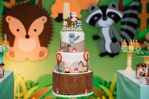 Smash the cake volta redonda barra mansa Fotografia Fotografo Festa Infantil 1 ano 1 aninho mamae papai ensaio aniversario  pula pula kids festa salao, safari, leao, rio de janeiro'