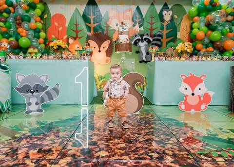 Smash the cake volta redonda barra mansa Fotografia Fotografo Festa Infantil 1 ano 1 aninho mamae papai ensaio aniversario  pula pula kids festa salao, safari, leao, rio de janeiro'