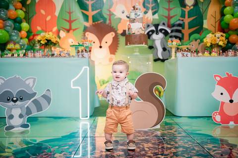 Smash the cake volta redonda barra mansa Fotografia Fotografo Festa Infantil 1 ano 1 aninho mamae papai ensaio aniversario  pula pula kids festa salao, safari, leao, rio de janeiro'