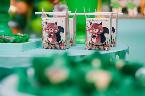 Smash the cake volta redonda barra mansa Fotografia Fotografo Festa Infantil 1 ano 1 aninho mamae papai ensaio aniversario  pula pula kids festa salao, safari, leao, rio de janeiro'