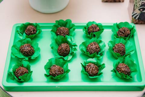 Smash the cake volta redonda barra mansa Fotografia Fotografo Festa Infantil 1 ano 1 aninho mamae papai ensaio aniversario  pula pula kids festa salao, safari, leao, rio de janeiro'