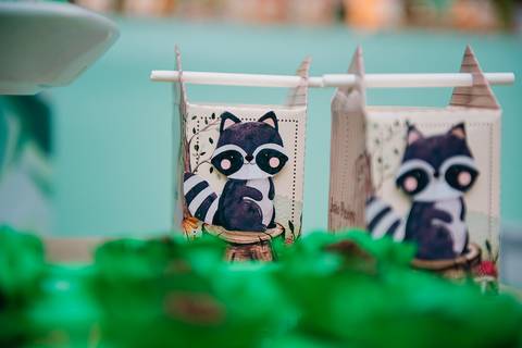 Smash the cake volta redonda barra mansa Fotografia Fotografo Festa Infantil 1 ano 1 aninho mamae papai ensaio aniversario  pula pula kids festa salao, safari, leao, rio de janeiro'