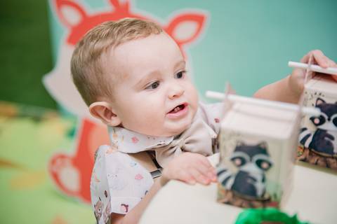 Smash the cake volta redonda barra mansa Fotografia Fotografo Festa Infantil 1 ano 1 aninho mamae papai ensaio aniversario  pula pula kids festa salao, safari, leao, rio de janeiro'