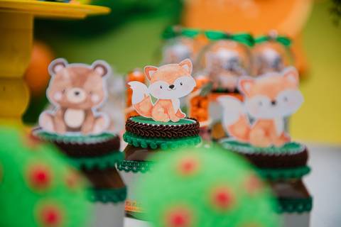 Smash the cake volta redonda barra mansa Fotografia Fotografo Festa Infantil 1 ano 1 aninho mamae papai ensaio aniversario  pula pula kids festa salao, safari, leao, rio de janeiro'