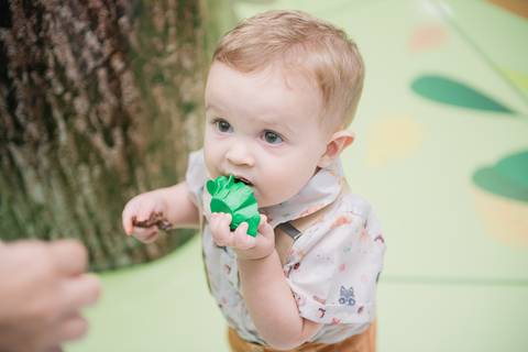 Smash the cake volta redonda barra mansa Fotografia Fotografo Festa Infantil 1 ano 1 aninho mamae papai ensaio aniversario  pula pula kids festa salao, safari, leao, rio de janeiro'