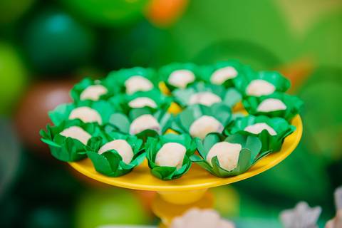 Smash the cake volta redonda barra mansa Fotografia Fotografo Festa Infantil 1 ano 1 aninho mamae papai ensaio aniversario  pula pula kids festa salao, safari, leao, rio de janeiro'