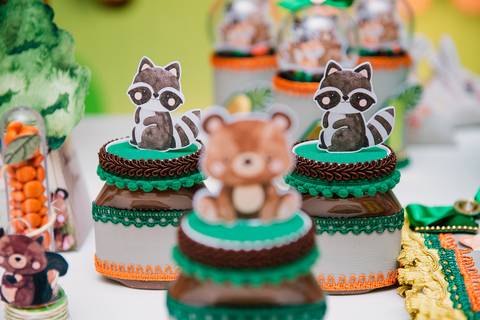 Smash the cake volta redonda barra mansa Fotografia Fotografo Festa Infantil 1 ano 1 aninho mamae papai ensaio aniversario  pula pula kids festa salao, safari, leao, rio de janeiro'