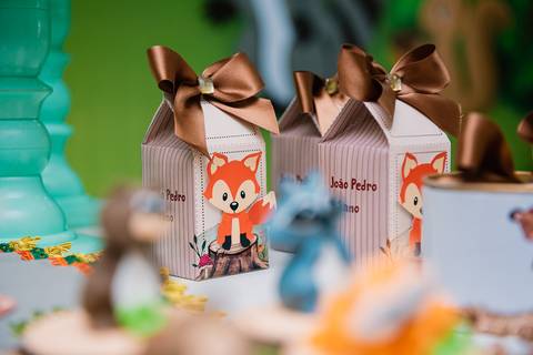 Smash the cake volta redonda barra mansa Fotografia Fotografo Festa Infantil 1 ano 1 aninho mamae papai ensaio aniversario  pula pula kids festa salao, safari, leao, rio de janeiro'