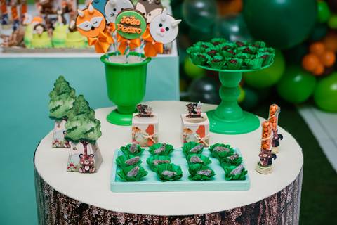 Smash the cake volta redonda barra mansa Fotografia Fotografo Festa Infantil 1 ano 1 aninho mamae papai ensaio aniversario  pula pula kids festa salao, safari, leao, rio de janeiro'