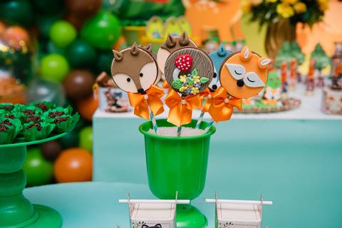 Smash the cake volta redonda barra mansa Fotografia Fotografo Festa Infantil 1 ano 1 aninho mamae papai ensaio aniversario  pula pula kids festa salao, safari, leao, rio de janeiro'