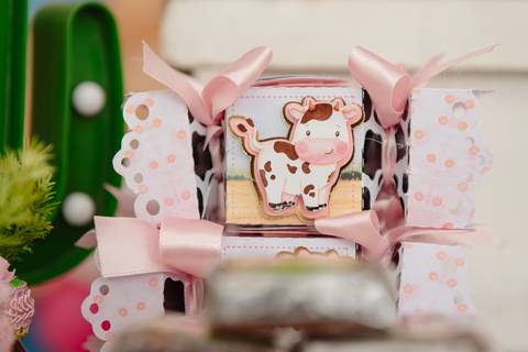 Smash the cake volta redonda barra mansa Fotografia Fotografo Festa Infantil 1 ano 1 aninho mamae papai ensaio aniversario  festa salão, cavalo, fazenda, boi, vaca rio de janeiro'