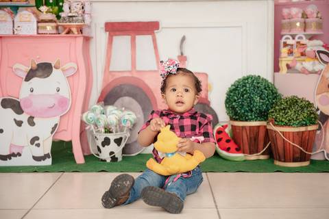 Smash the cake volta redonda barra mansa Fotografia Fotografo Festa Infantil 1 ano 1 aninho mamae papai ensaio aniversario  festa salão, cavalo, fazenda, boi, vaca rio de janeiro'