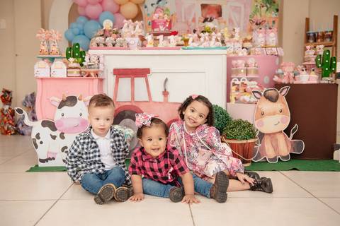 Smash the cake volta redonda barra mansa Fotografia Fotografo Festa Infantil 1 ano 1 aninho mamae papai ensaio aniversario  festa salão, cavalo, fazenda, boi, vaca rio de janeiro'