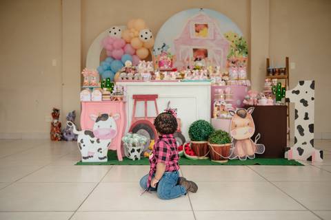 Smash the cake volta redonda barra mansa Fotografia Fotografo Festa Infantil 1 ano 1 aninho mamae papai ensaio aniversario  festa salão, cavalo, fazenda, boi, vaca rio de janeiro'
