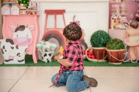 Smash the cake volta redonda barra mansa Fotografia Fotografo Festa Infantil 1 ano 1 aninho mamae papai ensaio aniversario  festa salão, cavalo, fazenda, boi, vaca rio de janeiro'
