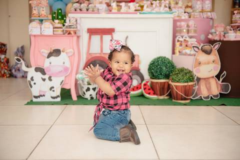 Smash the cake volta redonda barra mansa Fotografia Fotografo Festa Infantil 1 ano 1 aninho mamae papai ensaio aniversario  festa salão, cavalo, fazenda, boi, vaca rio de janeiro'