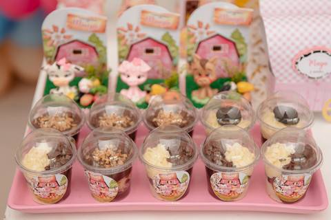 Smash the cake volta redonda barra mansa Fotografia Fotografo Festa Infantil 1 ano 1 aninho mamae papai ensaio aniversario  festa salão, cavalo, fazenda, boi, vaca rio de janeiro'