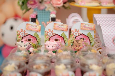 Smash the cake volta redonda barra mansa Fotografia Fotografo Festa Infantil 1 ano 1 aninho mamae papai ensaio aniversario  festa salão, cavalo, fazenda, boi, vaca rio de janeiro'