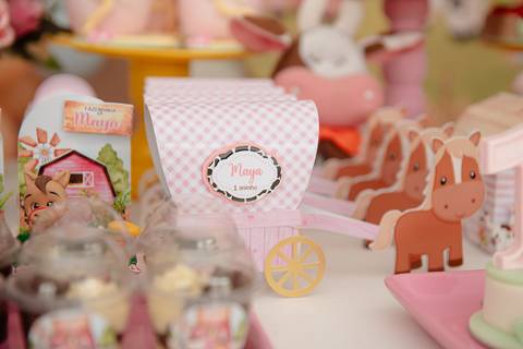 Smash the cake volta redonda barra mansa Fotografia Fotografo Festa Infantil 1 ano 1 aninho mamae papai ensaio aniversario  festa salão, cavalo, fazenda, boi, vaca rio de janeiro'