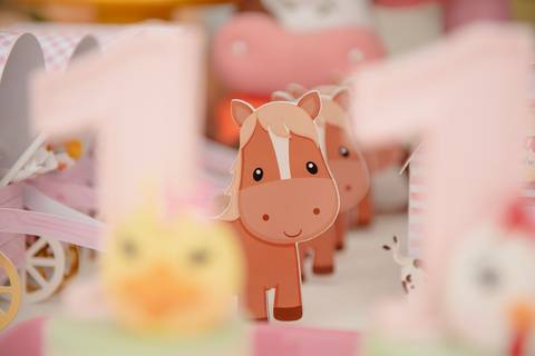 Smash the cake volta redonda barra mansa Fotografia Fotografo Festa Infantil 1 ano 1 aninho mamae papai ensaio aniversario  festa salão, cavalo, fazenda, boi, vaca rio de janeiro'