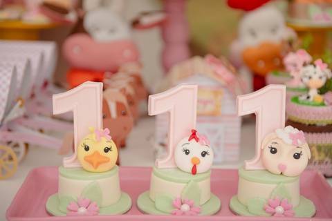 Smash the cake volta redonda barra mansa Fotografia Fotografo Festa Infantil 1 ano 1 aninho mamae papai ensaio aniversario  festa salão, cavalo, fazenda, boi, vaca rio de janeiro'