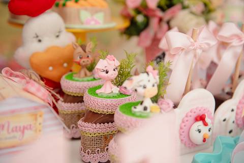 Smash the cake volta redonda barra mansa Fotografia Fotografo Festa Infantil 1 ano 1 aninho mamae papai ensaio aniversario  festa salão, cavalo, fazenda, boi, vaca rio de janeiro'